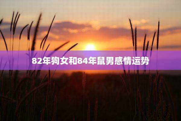 82年狗女和84年鼠男感情运势