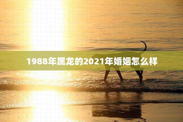 1988年属龙的2021年婚姻怎么样