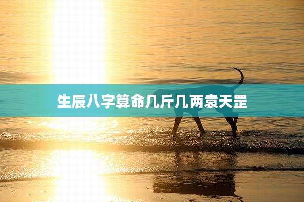 生辰八字算命几斤几两袁天罡
