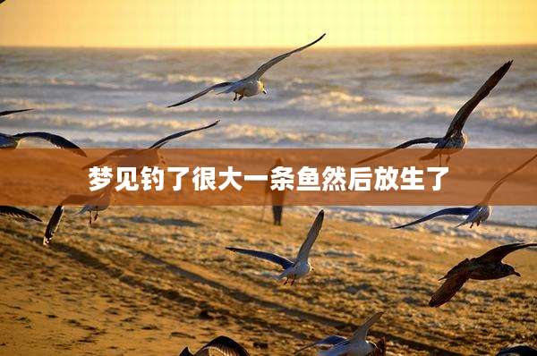 梦见钓了很大一条鱼然后放生了