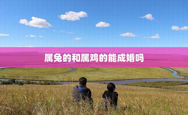 属兔的和属鸡的能成婚吗