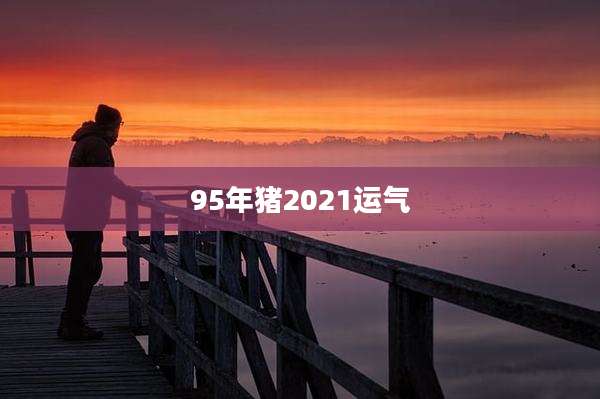 95年猪2021运气