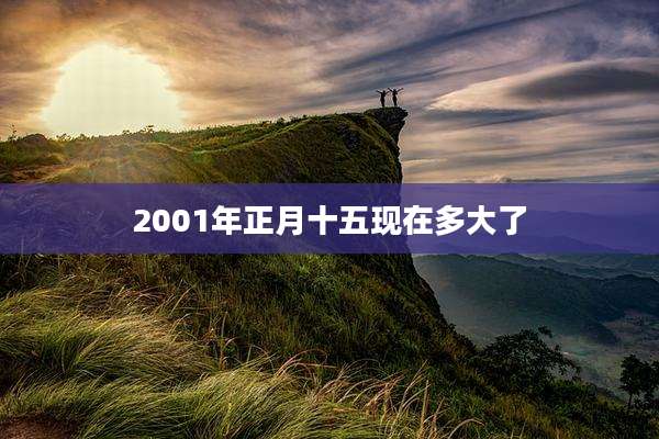 2001年正月十五现在多大了