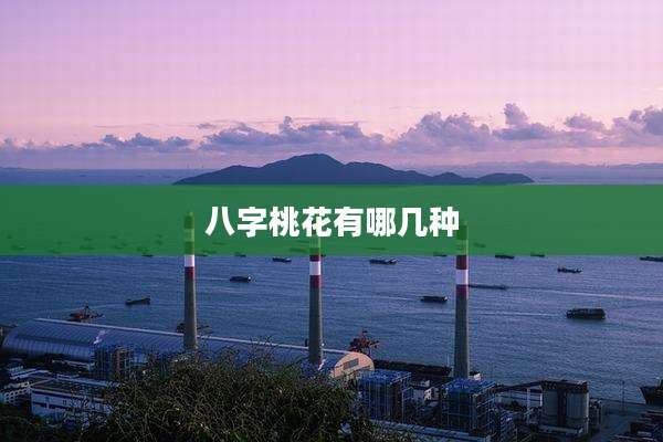 八字桃花有哪几种