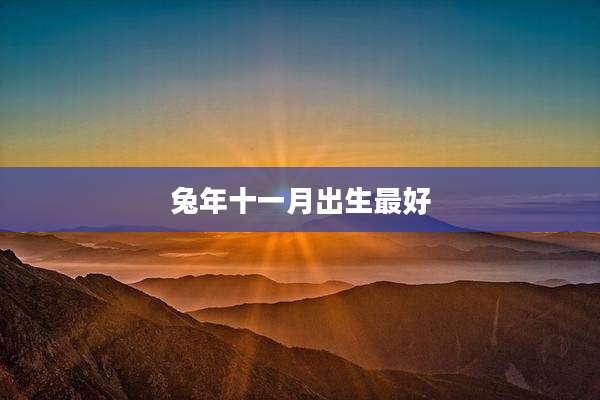 兔年十一月出生最好