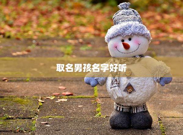 取名男孩名字好听