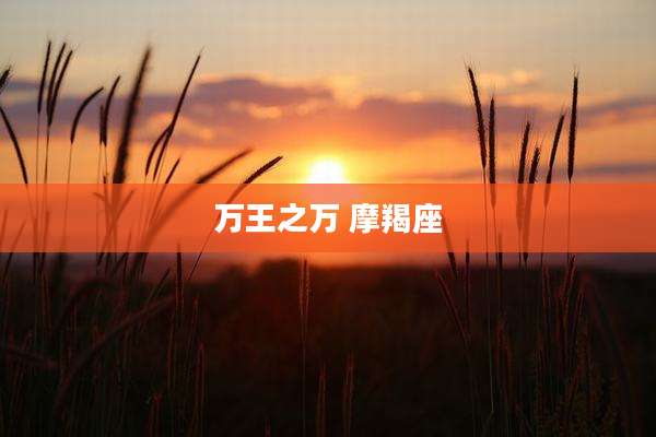 万王之万 摩羯座