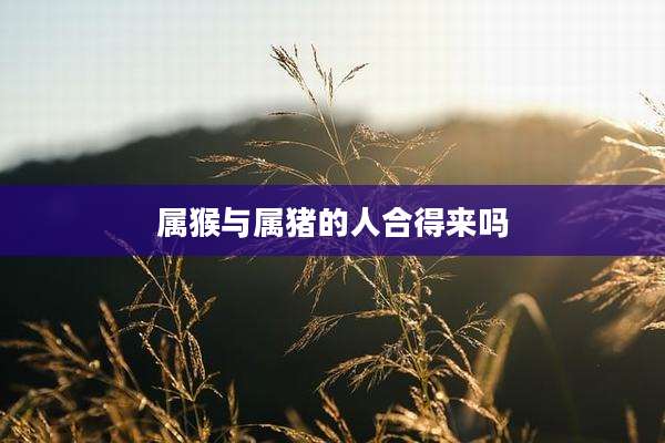 属猴与属猪的人合得来吗