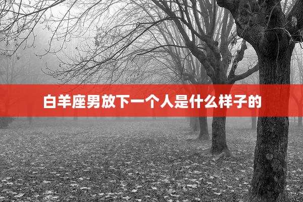 白羊座男放下一个人是什么样子的