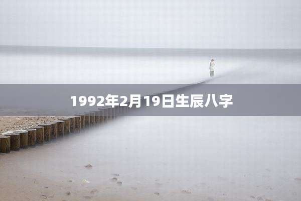 1992年2月19日生辰八字
