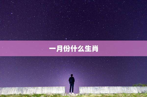 一月份什么生肖