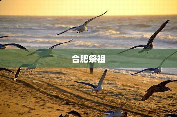 合肥祭祖