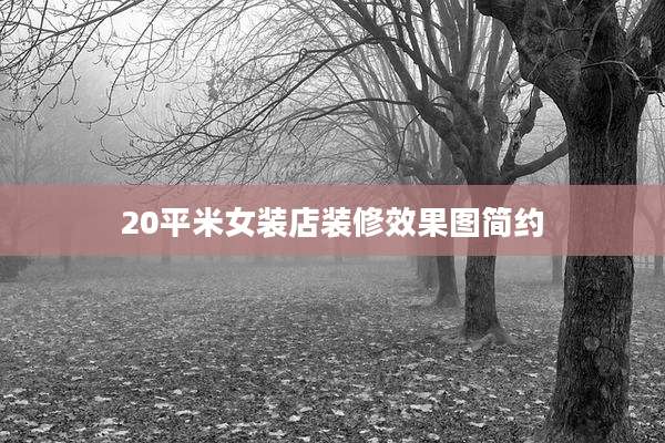 20平米女装店装修效果图简约