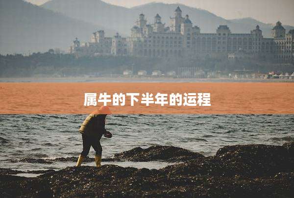 属牛的下半年的运程