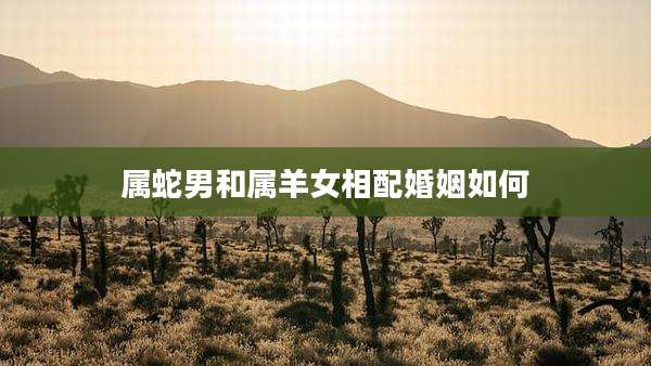属蛇男和属羊女相配婚姻如何