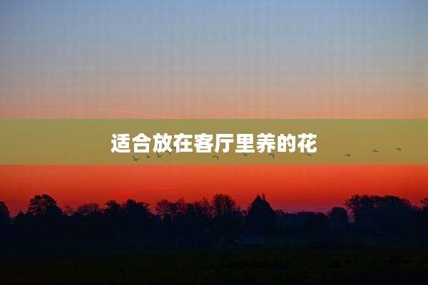 适合放在客厅里养的花
