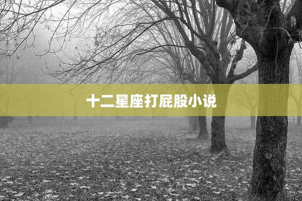 十二星座打屁股小说