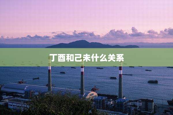 丁酉和己未什么关系