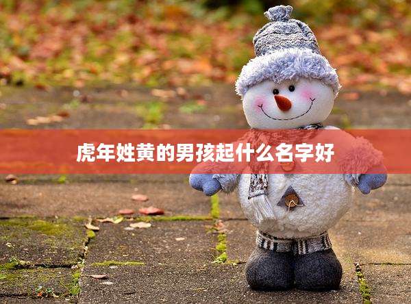 虎年姓黄的男孩起什么名字好