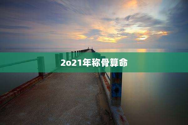 2o21年称骨算命