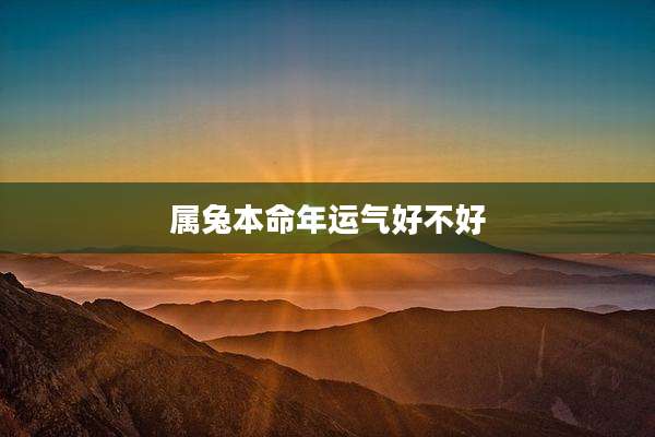 属兔本命年运气好不好