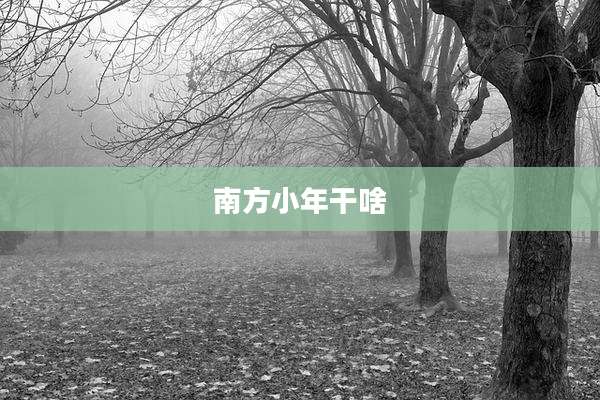 南方小年干啥