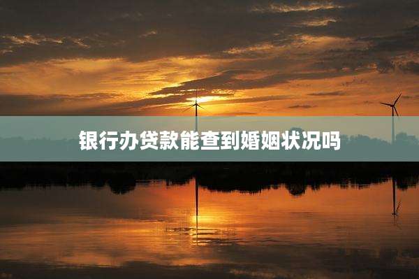 银行办贷款能查到婚姻状况吗