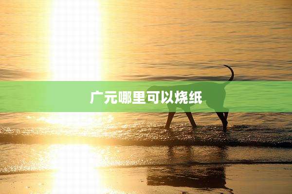 广元哪里可以烧纸