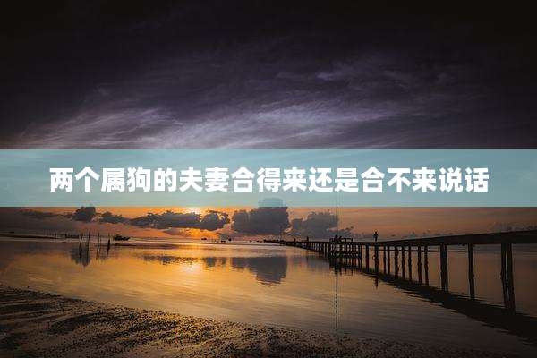 两个属狗的夫妻合得来还是合不来说话