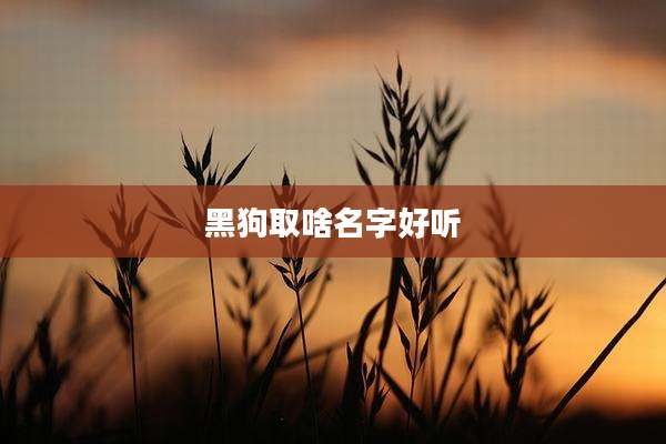 黑狗取啥名字好听