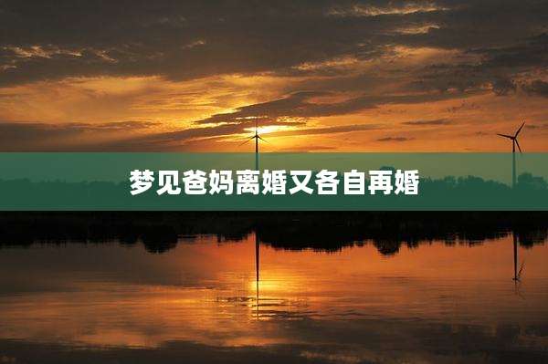 梦见爸妈离婚又各自再婚
