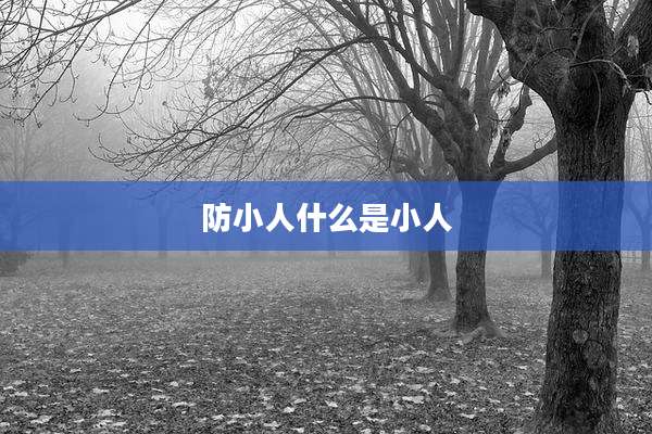 防小人什么是小人