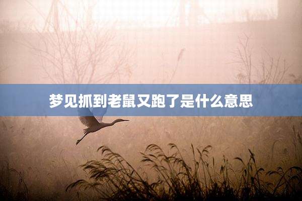 梦见抓到老鼠又跑了是什么意思