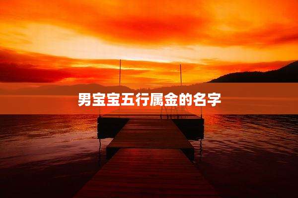 男宝宝五行属金的名字
