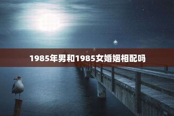 1985年男和1985女婚姻相配吗