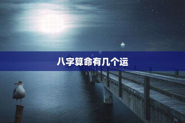 八字算命有几个运