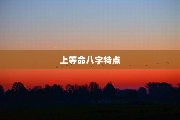 上等命八字特点