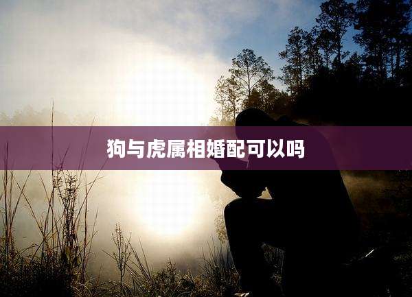 狗与虎属相婚配可以吗
