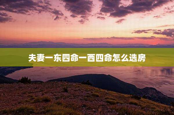 夫妻一东四命一西四命怎么选房
