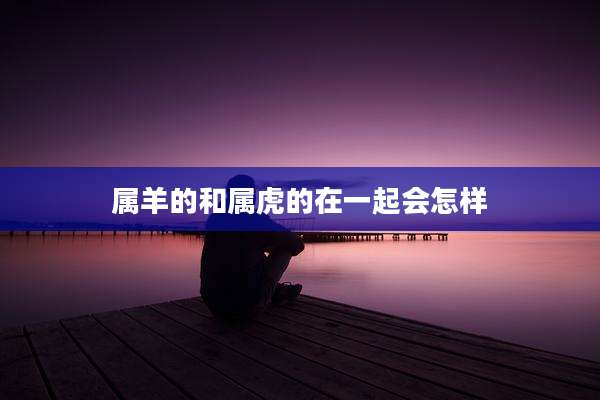 属羊的和属虎的在一起会怎样