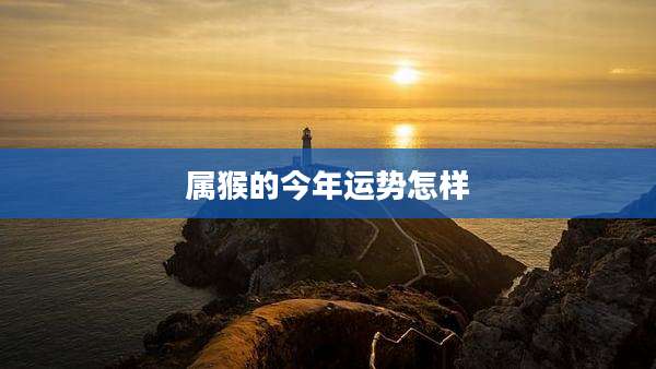 属猴的今年运势怎样