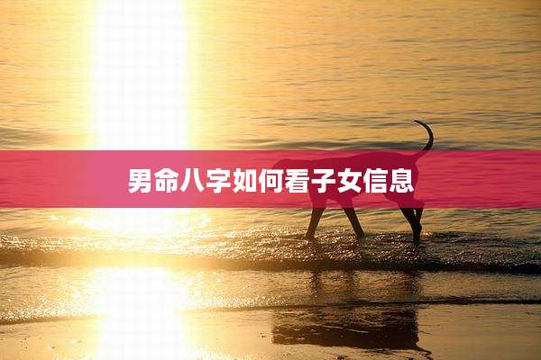 男命八字如何看子女信息