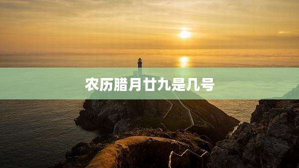 农历腊月廿九是几号
