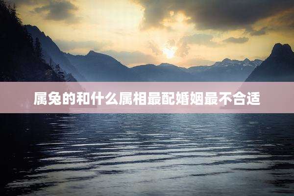 属兔的和什么属相最配婚姻最不合适