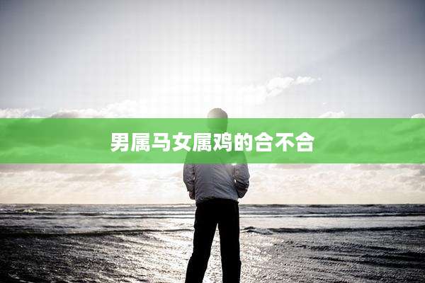男属马女属鸡的合不合