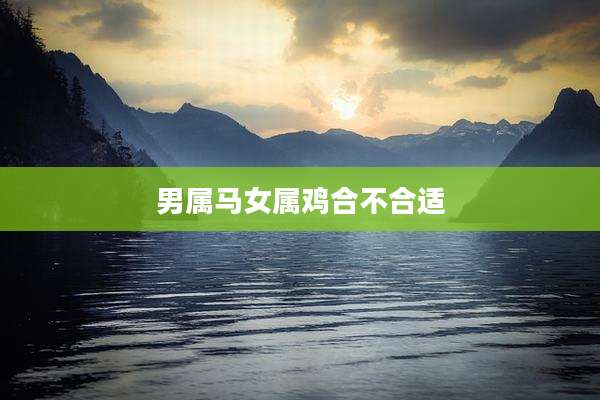 男属马女属鸡合不合适