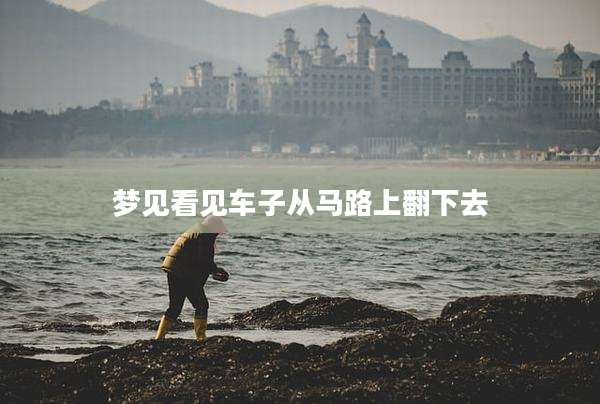 梦见看见车子从马路上翻下去