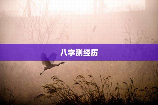 八字测经历