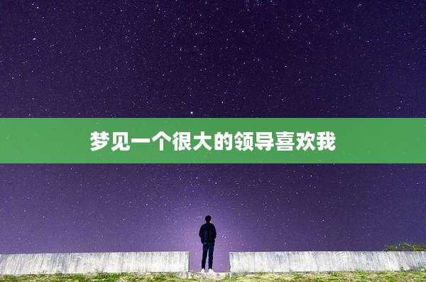 梦见一个很大的领导喜欢我