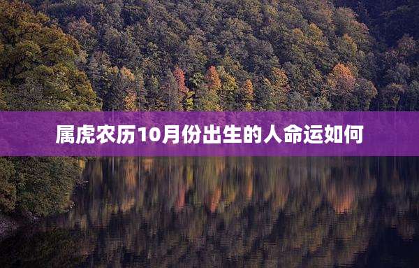 属虎农历10月份出生的人命运如何